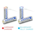 2600mah(4).webp