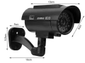 dummy(3).webp