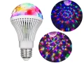 bulb(2).webp