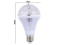 bulb(4).webp