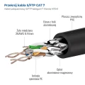 cat7(2).webp