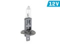 5036 - 128636 - Żarówka samochodowa H1 12V 55W 1.jpg