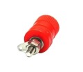 5428 - 160258 - Gniazdo bananowe ZL-0110 2.jpg
